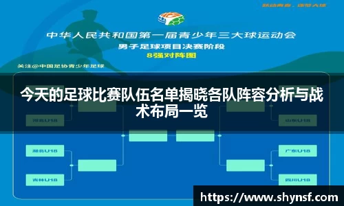 今天的足球比赛队伍名单揭晓各队阵容分析与战术布局一览